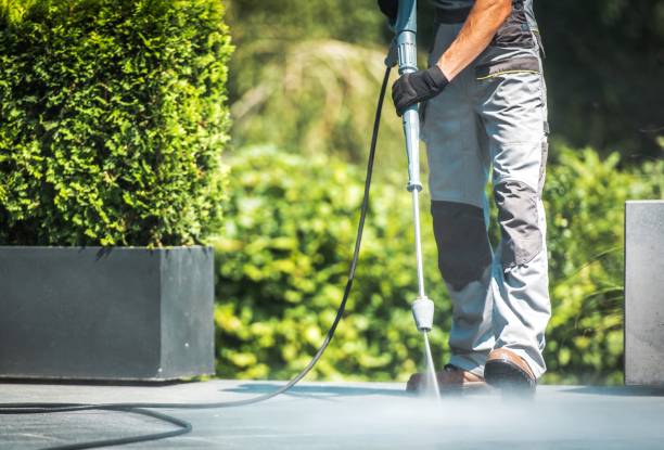 Best Roof Washing  in Seattle, WA