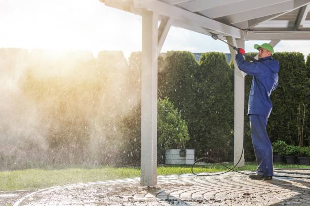 Best Dumpster Area Cleaning  in Seattle, WA